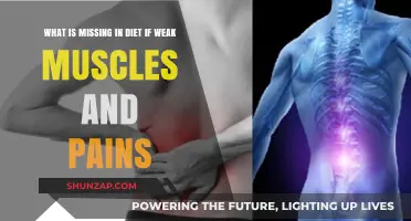 Weak Muscles and Persistent Pains: Key Nutrient Deficiencies in Your Diet