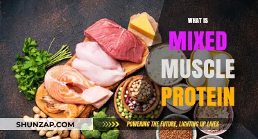 Muscle Protein Synthesis: Mixed Sources, Maximum Results