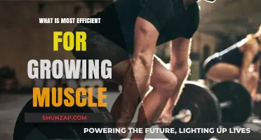 Maximize Muscle Growth: Proven Strategies for Optimal Efficiency