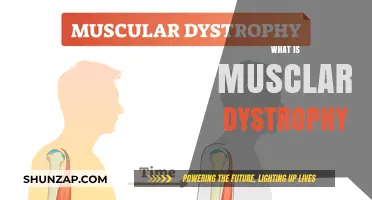 Understanding Muscular Dystrophy: Causes and Effects