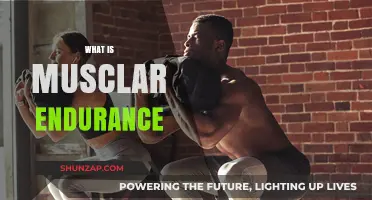 Building Muscular Endurance: The Key to Unlocking Performance