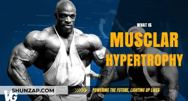 Understanding Muscular Hypertrophy: Building Muscle Science