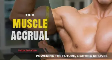 Building Muscle: The Science of Muscle Accrual