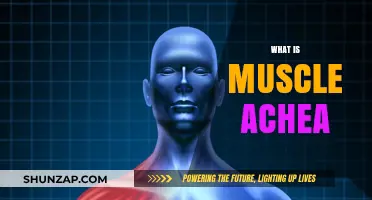 Understanding Muscle Aches: Causes and Remedies