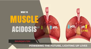 Understanding Muscle Acidosis and Its Impact