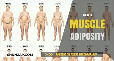 Muscle Adiposity: Understanding Fat Infiltration in Muscles