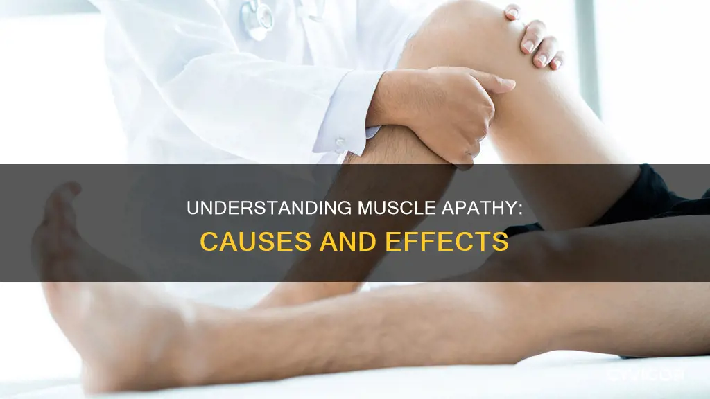 what is muscle apathy