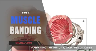 Muscle Banding: Understanding the Science of Muscle Contraction