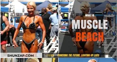 Muscle Beach: A Cultural Icon of Fitness