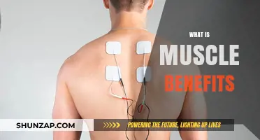 Build Muscle, Gain Benefits