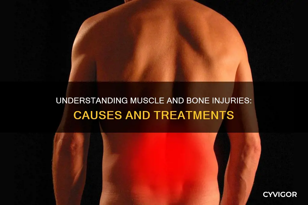 what is muscle bone injury