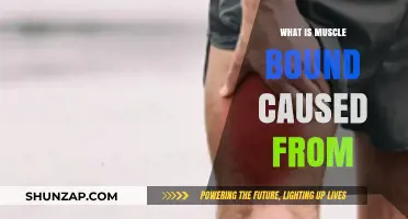 Understanding Muscle Bound: Causes, Symptoms, and Prevention Strategies