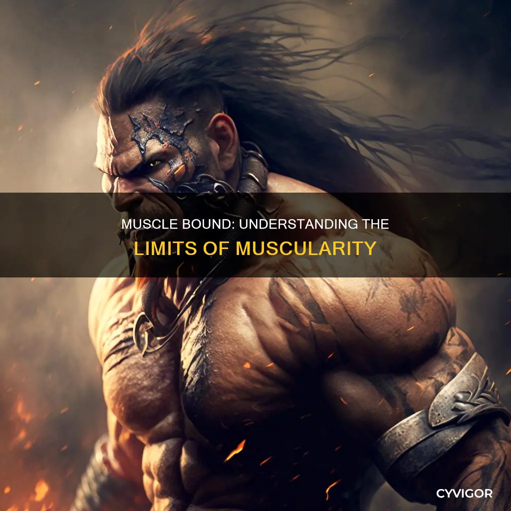 what is muscle bound