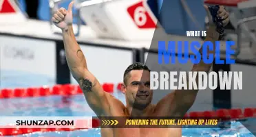Muscle Breakdown: Understanding Catabolism and Muscle Loss
