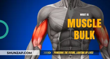 Muscle Bulk: Understanding the Science of Muscle Growth