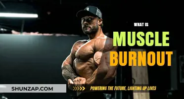 How Muscle Burnout Affects Your Training