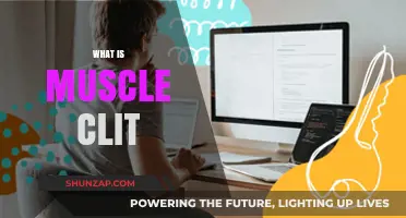 Understanding the Muscle Clit: What You Need to Know
