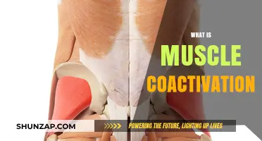 Understanding Muscle Coactivation: How Muscles Work Together