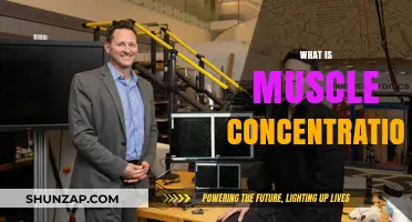 How Muscle Concentration Enhances Your Training