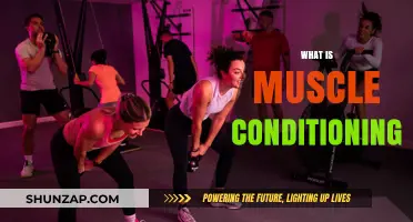 Build Muscle Strength: Conditioning Techniques for Beginners