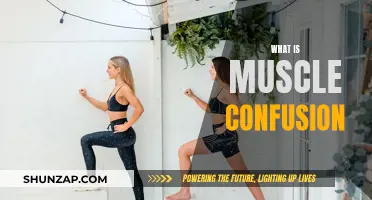 Understanding Muscle Confusion: The Secret to Fitness Gains