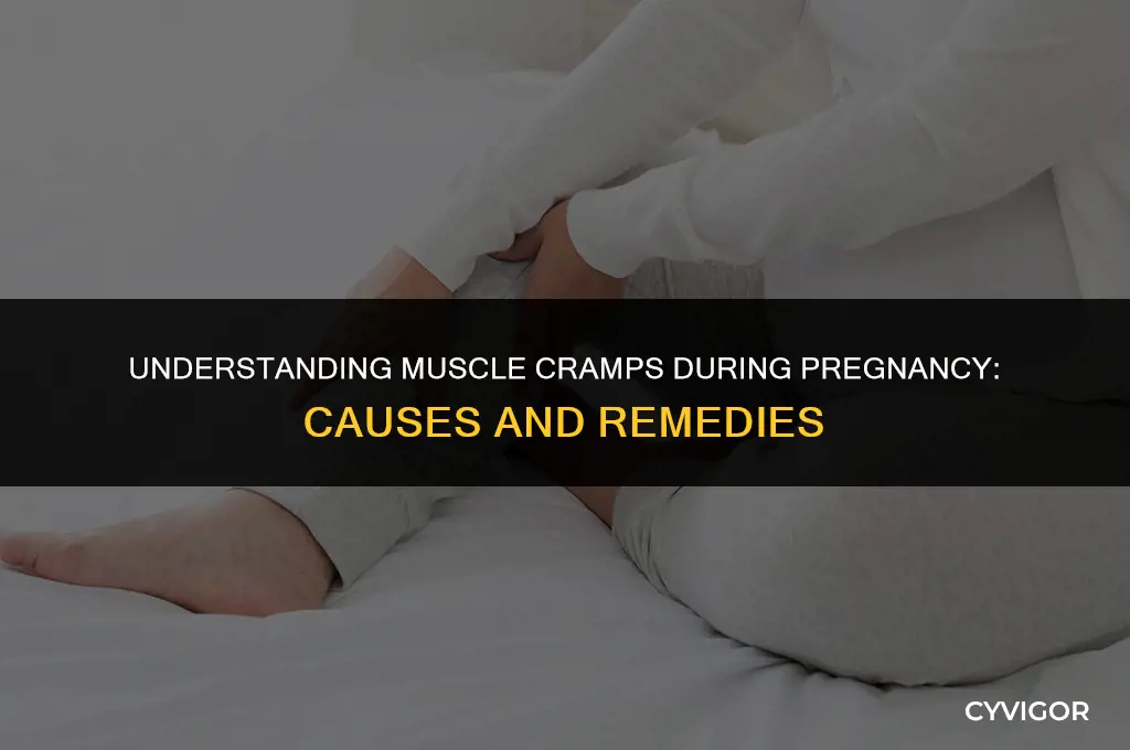 what is muscle cramp during pregnancy