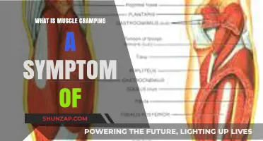 Unraveling the Mystery: What Your Muscle Cramps Might Indicate