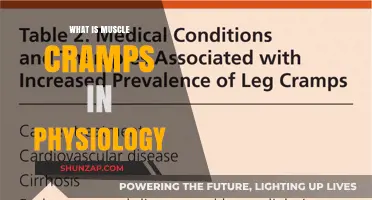 Understanding Muscle Cramps: A Physiological Perspective
