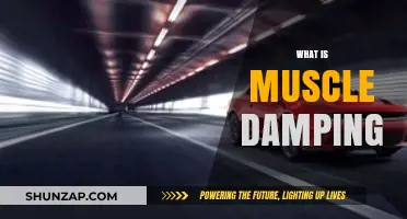 Understanding Muscle Damping: Enhancing Athletic Performance