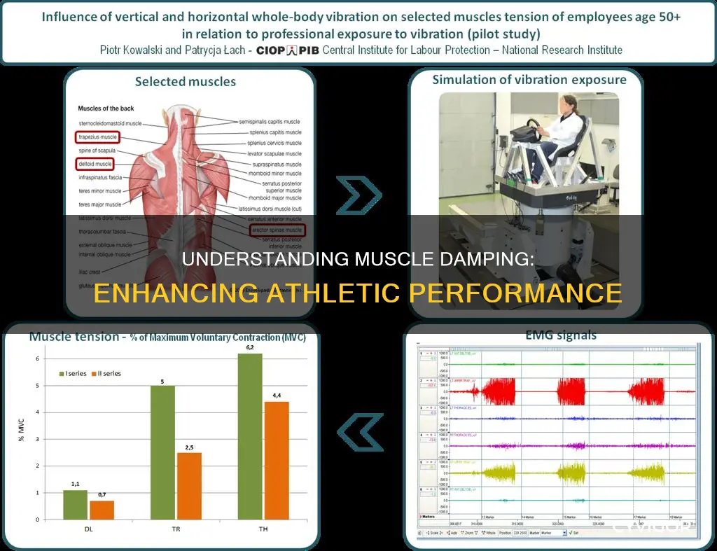 what is muscle damping