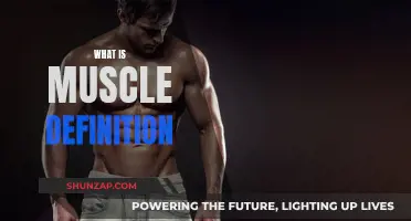 Understanding Muscle Definition: Unlocking the Secrets of Sculpted Bodies