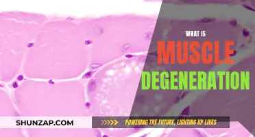 Understanding Muscle Degeneration: Causes and Effects