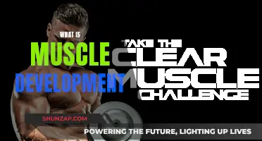 Muscle Development: Understanding the Science of Building Strength