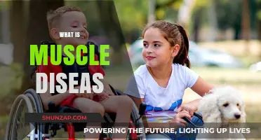 Understanding Muscle Diseases: Causes, Symptoms, and Treatments