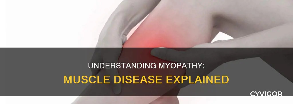 what is muscle disease myopathy