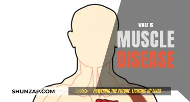 Understanding Muscle Diseases: Causes, Effects, and Treatments