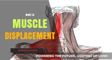 Understanding Muscle Displacement: How Muscles Move