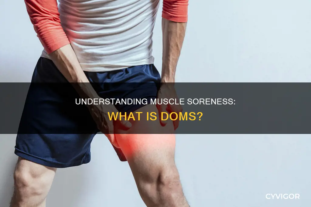what is muscle doms