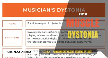 Understanding Muscle Dystonia: Causes, Symptoms, and Treatments