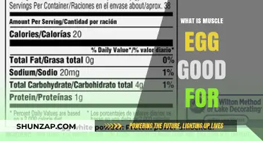 Unlocking the Power of Muscle Eggs: A Comprehensive Guide