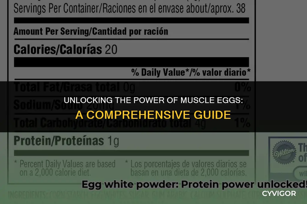 what is muscle egg good for