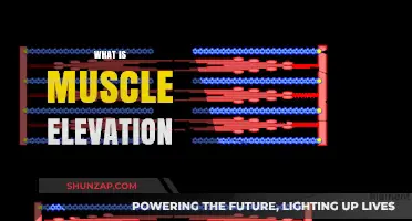 Muscle Elevation: Understanding the Science of Lifting Weights
