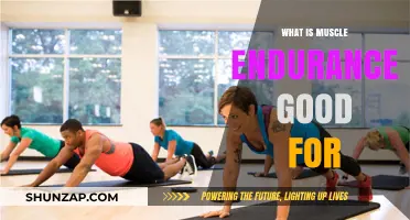 Unlocking the Power of Muscle Endurance: Benefits and Training Tips