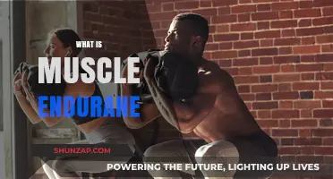 Understanding Muscle Endurance: The Key to Unlocking Performance