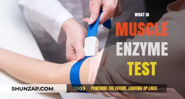 Understanding Muscle Enzyme Testing