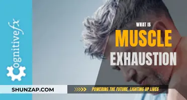 Understanding Muscle Exhaustion: Causes and Effects