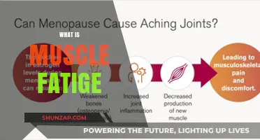 Understanding Muscle Fatigue: Causes and Impacts