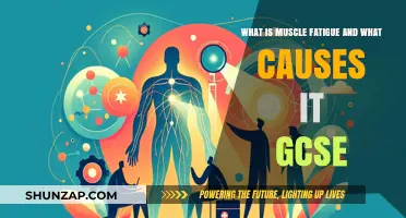 Understanding Muscle Fatigue: Causes and Effects for GCSE Students