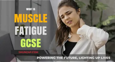 Understanding Muscle Fatigue: GCSE Essentials
