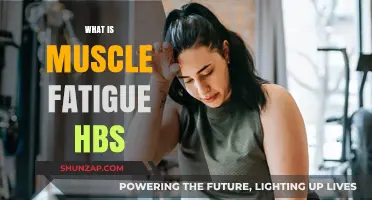 Understanding Muscle Fatigue: Causes, Effects, and Solutions
